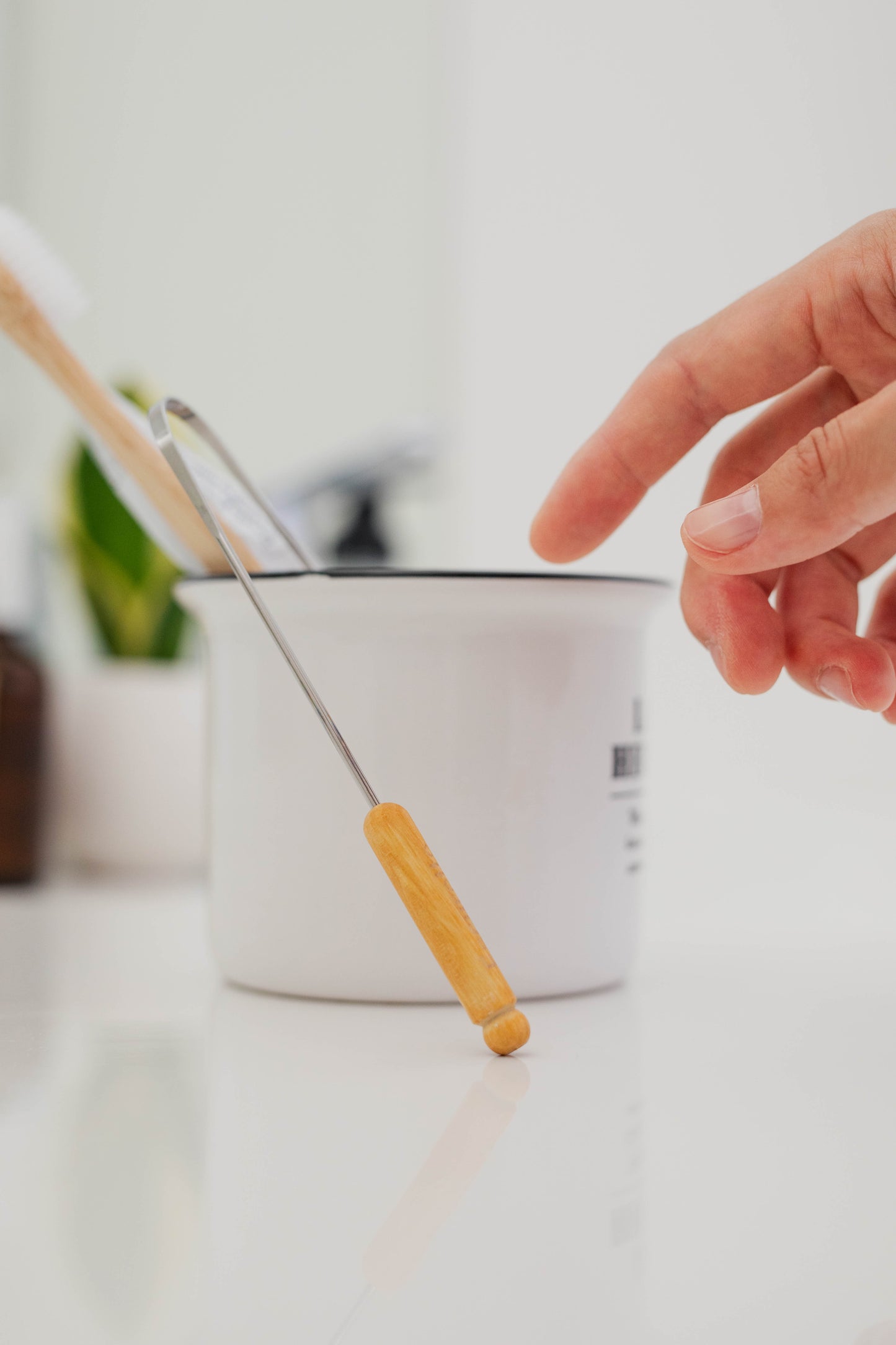 [French Tongue Scraper] 舌磨き【予約販売：7月15日までの発送】